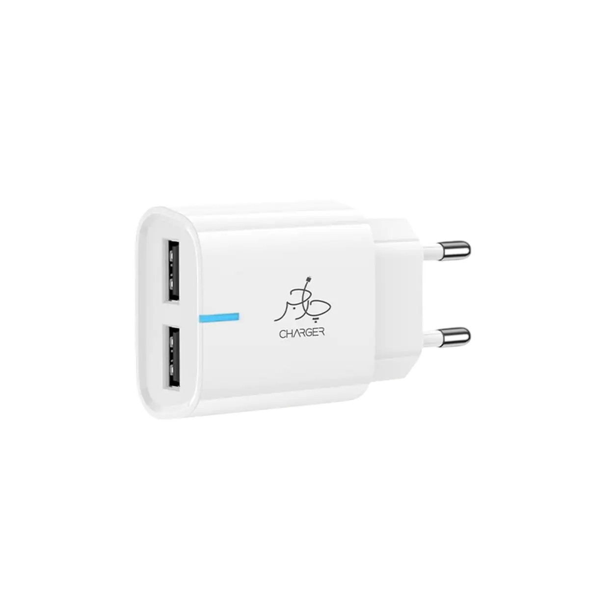 TAAR Rapid Duo 12W Charger - With Micro USB Cable product image