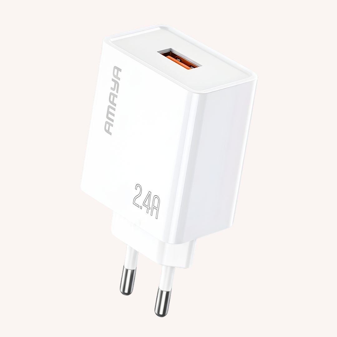 Amaya ACW-E79D charger product image