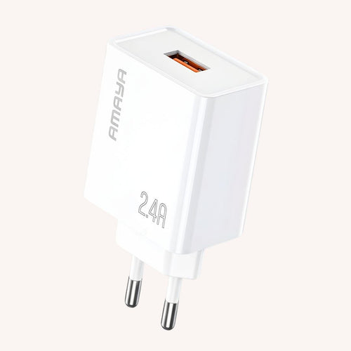 Amaya ACW-E79D charger product image