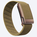Whoop Life/Peak Superknit Band (With Box) | Maple